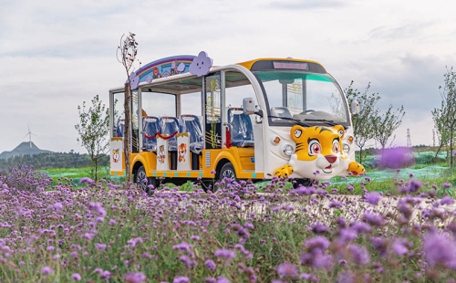 電動觀光車廠家哪個品牌好，電動觀光車市場價格